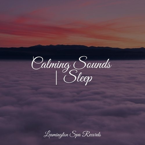 Calming Sounds | Sleep