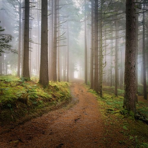 Celestial Sonata: Orchestral Music For The Soul