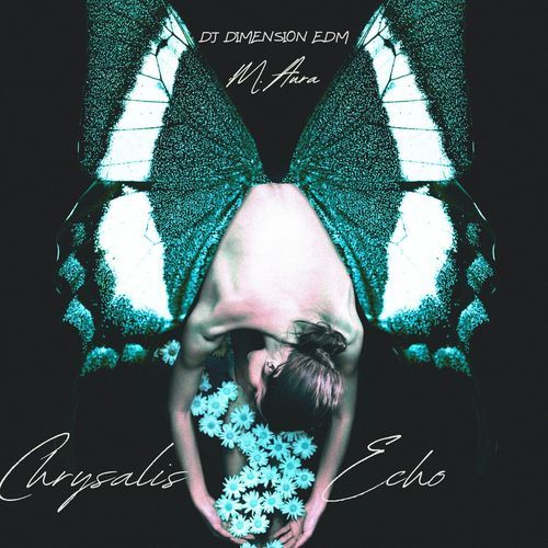 Chrysalis Echo (Falling into Light)_poster_image