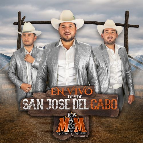 Los Dos Amantes (En Vivo) cover art