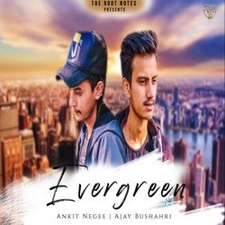 Evergreen-ChpbchBDUkI