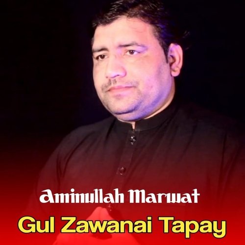 Gul Zawanai Tapay