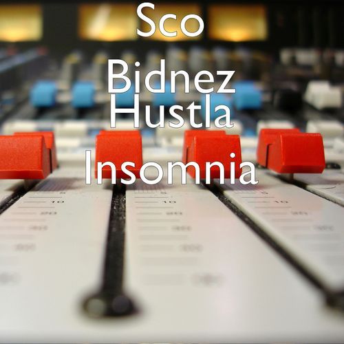 Hustla Insomnia_poster_image