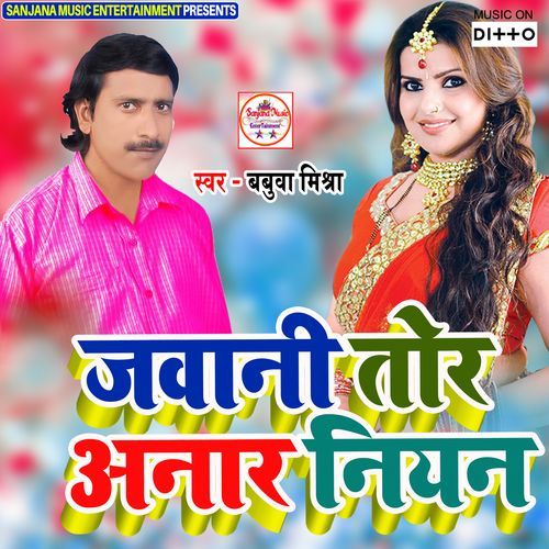 Jawani Tor Anar Niyan_poster_image