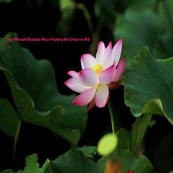 Kay Phool Chadau May (Bhajan)-QxFGeTBxewE