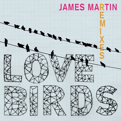 Lovebirds (Remixes)_poster_image