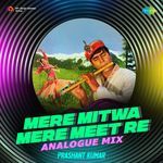 Mere Mitwa Mere Meet Re - Analogue Mix
