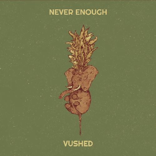 Never Enough cover art