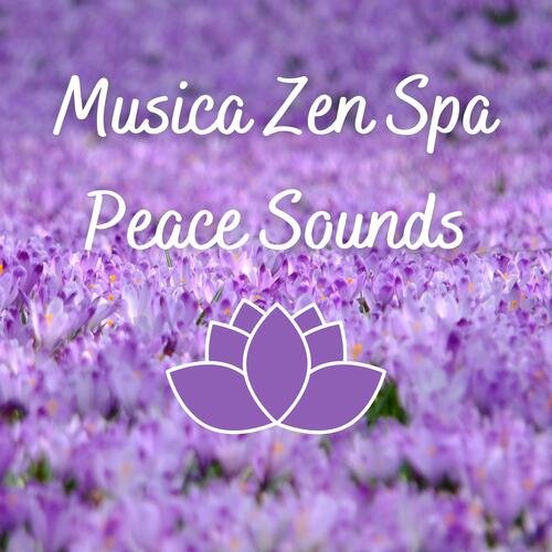 Ambient Aura cover art