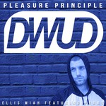 Pleasure Principle Feat. Perry