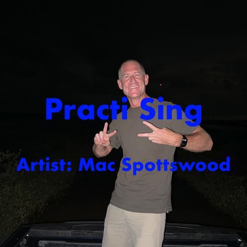 Practi Sing cover art
