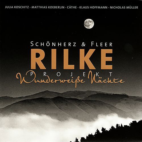 Endlich ein grosser Sturm (feat. Julia Koschitz) cover art