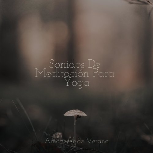 Sonidos De Meditación Para Yoga