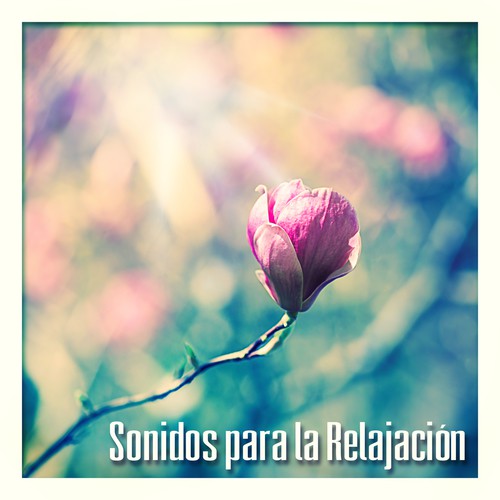 Entrenamiento Autògeno y Meditación cover art