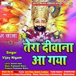 Tera Diwana Aa Gaya (khatu shyam bhajan)