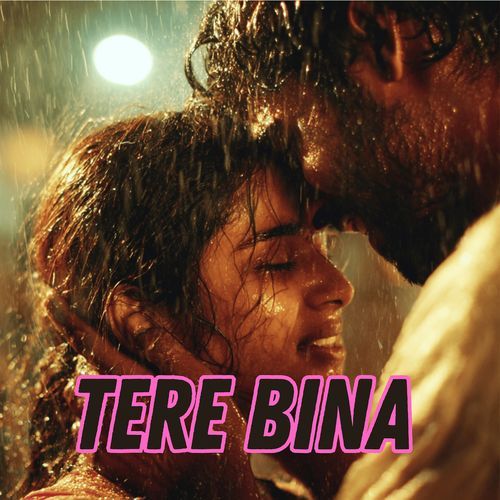 Tere Bina