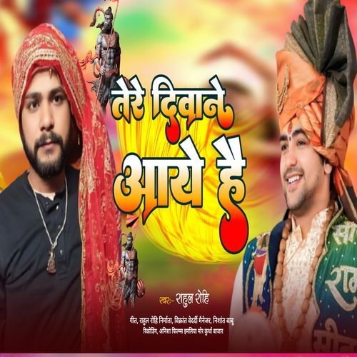 Tere Deewane Aaye Hai