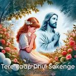 Tere Paap Dhul Sakenge