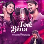 Tore Bina