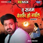 Tu Sanam Bewafa Ho Gaiylu - Remix