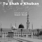Tu Shah e Khuban Tu Jane Jana (Lofi-Mix)