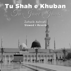 Tu Shah e Khuban Tu Jane Jana (Lofi-Mix)