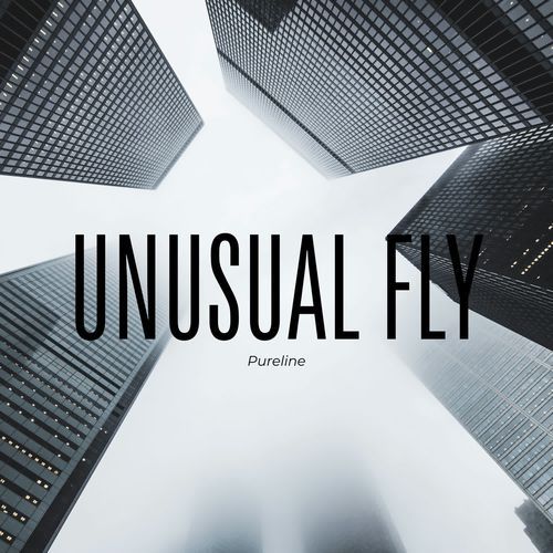 Unusual Fly