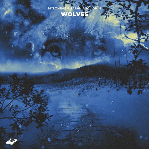 Wolves_poster_image