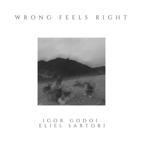Wrong Feels Right cover art