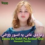 Zama De Gakh Pa Ambor Oze