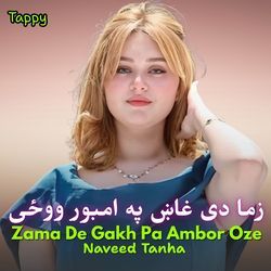 Zama De Gakh Pa Ambor Oze