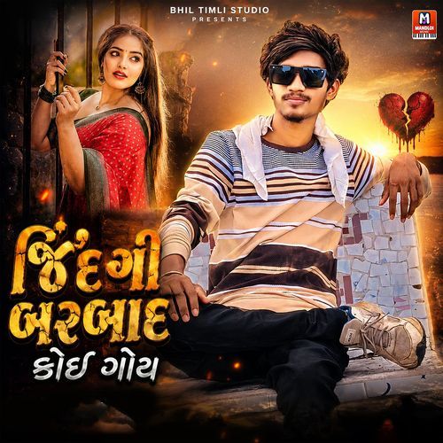 Zindagi Barbaad Koy Goy