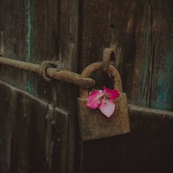 aise, kaise, waise, jaise?