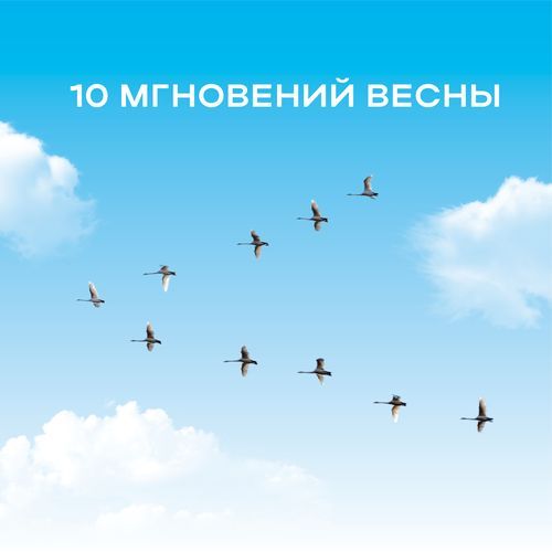 10 мгновений весны
