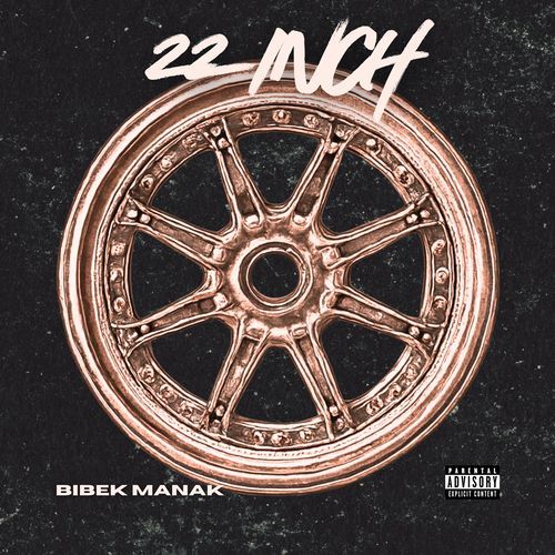 22 Inch