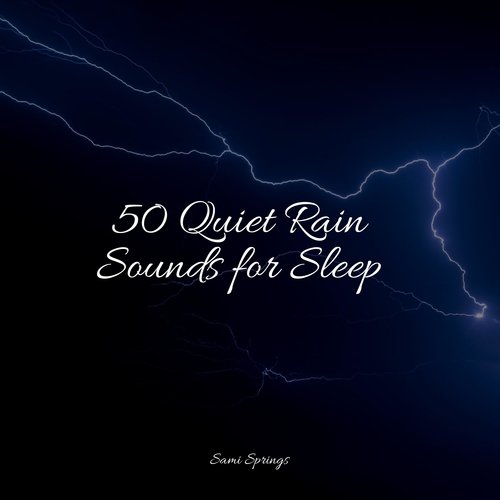 50 Quiet Rain Sounds for Sleep_poster_image