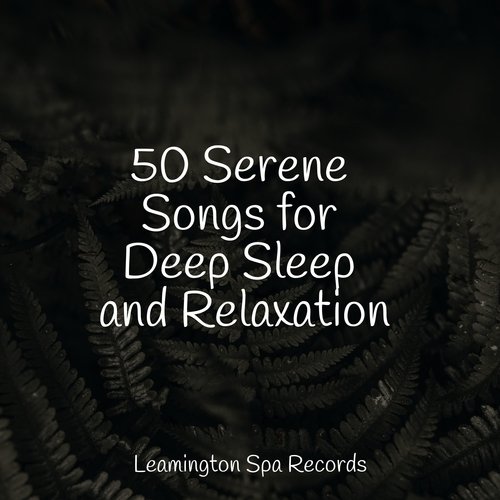 50 Serene Songs for Deep Sleep and Relaxation_poster_image