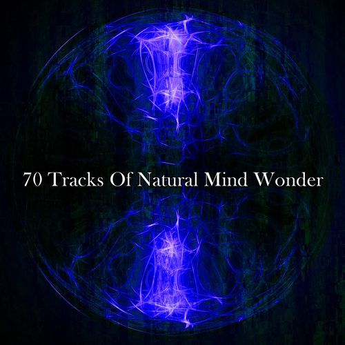 70 Tracks Of Natural Mind Wonder_poster_image