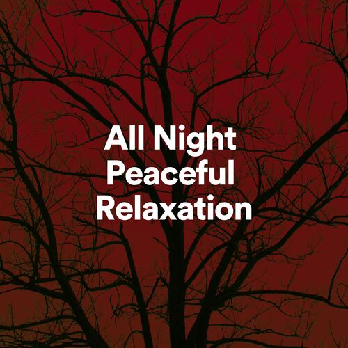 All Night Peaceful Relaxation, Pt. 5