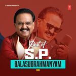 Poomedaiyo (From "Aayiram Pookkal Malarattum")