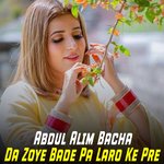 Da Zoye Bade Pa Laro Ke Pre