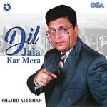 Dil Jala Kar Mera