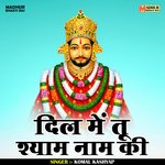 Dil me tu shyam naam ki (Hindi)