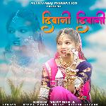 Diwani Diwani