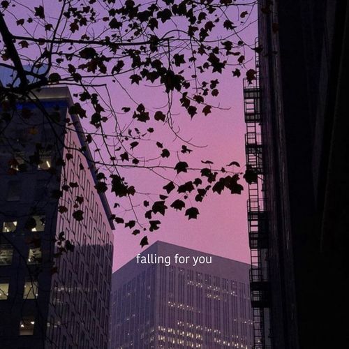 Falling for you (Lofi)