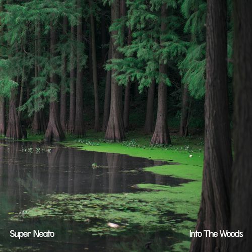 Into the Woods
