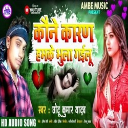 Kaune karan hamke gaiu tu ho bhulai