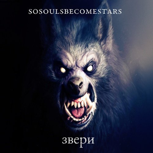 Звери