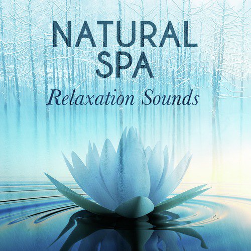 Natural Spa Relaxation Sounds_poster_image