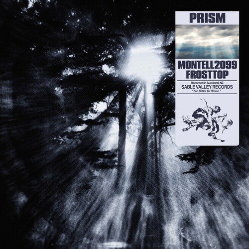 PRISM_poster_image